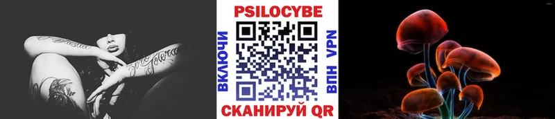 как найти   Выкса  Галлюциногенные грибы GOLDEN TEACHER 