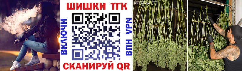купить наркотики сайты  Выкса  Конопля сатива 
